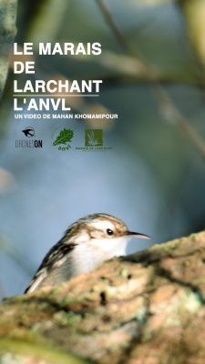 Poster Le Marais de Larchant